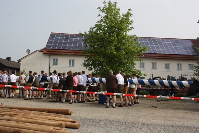 Maibaum 2013